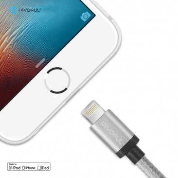 Pivoful Apple MFI Certified Lightning Sync Charging Cable - 4 Ft /1.2M For iPhone - Silver